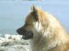 minni_paa_inkoo.jpg (15183 tavu(a))