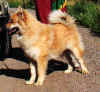 roope_1.jpg (11414 tavu(a))