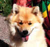 roope_2.jpg (16685 tavu(a))