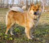 siru_2.jpg (62412 tavu(a))